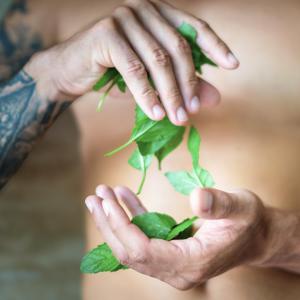  Gel de ducha 3 en 1 para hombre Energy de menta botella 500 ml