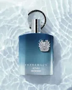 Supremacy Incense agua de perfume para hombres 100 ml
