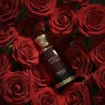 1950 Sunset in Dubai extracto de perfume unisex 100 ml