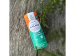 Ben & Anna Desodorante sólido sin perfume (40 g) - Aloe Vera - para piel sensible