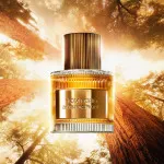 Bois Pacifique agua de perfume para hombre 100 ml
