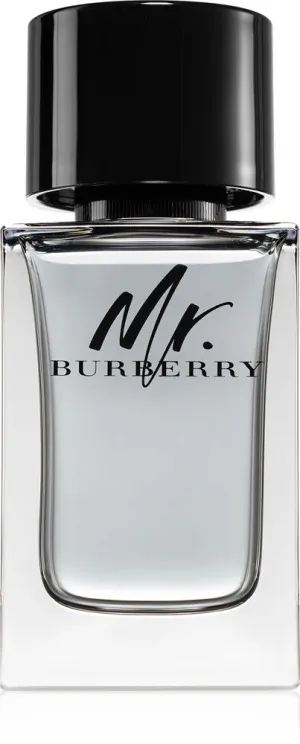 Burberry Mr. Burberry eau de toilette para hombre 100 ml