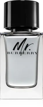 Mr. Burberry eau de toilette para hombre 100 ml