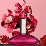 Euphoria agua de perfume para mujer 50 ml