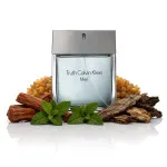 Truth For Men agua de tocador 100 ml para hombre