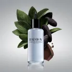 Bad Boy agua de tocador para hombres 100 ml