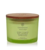 Vela perfumada Chesapeake Bay Awaken + Invigorate con 3 mechas 312 g