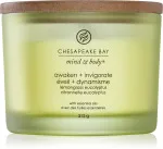 Vela perfumada Chesapeake Bay Awaken + Invigorate con 3 mechas 312 g