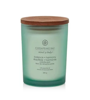 Vela aromática Chesapeake Bay Balance + Harmony 250 g