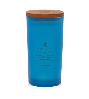Vela aromática Chesapeake Bay Confidence + Freedom 355 g