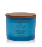 Vela aromática Chesapeake Bay Confidence + Freedom con 3 mechas 312 g