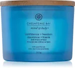Vela aromática Chesapeake Bay Confidence + Freedom con 3 mechas 312 g