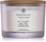 Vela aromática Chesapeake Bay Joy + Laughter con 3 mechas 312 g