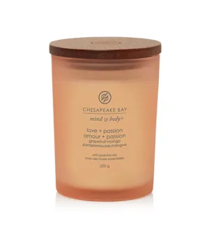 Chesapeake Bay Love + Passion vela aromática 250 g