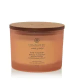 Vela aromática Chesapeake Bay Love + Passion con 3 mechas 312 g