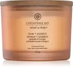 Vela aromática Chesapeake Bay Love + Passion con 3 mechas 312 g
