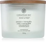 Vela aromática Chesapeake Bay Peace + Tranquility con 3 mechas 312 g