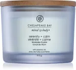 Vela aromática Chesapeake Bay Serenity + Calm con 3 mechas 312 g