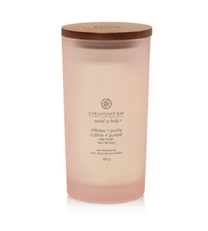 Vela aromática Chesapeake Bay Stillness + Purity 355 g