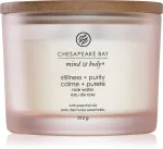 Vela perfumada Chesapeake Bay Stillness + Purity con 3 mechas 312 g