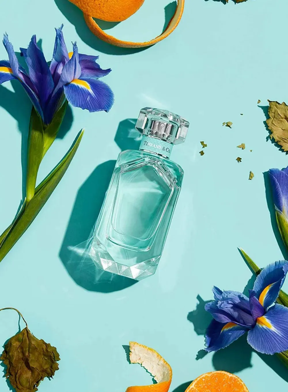 & Co. agua de perfume para mujer 75 ml