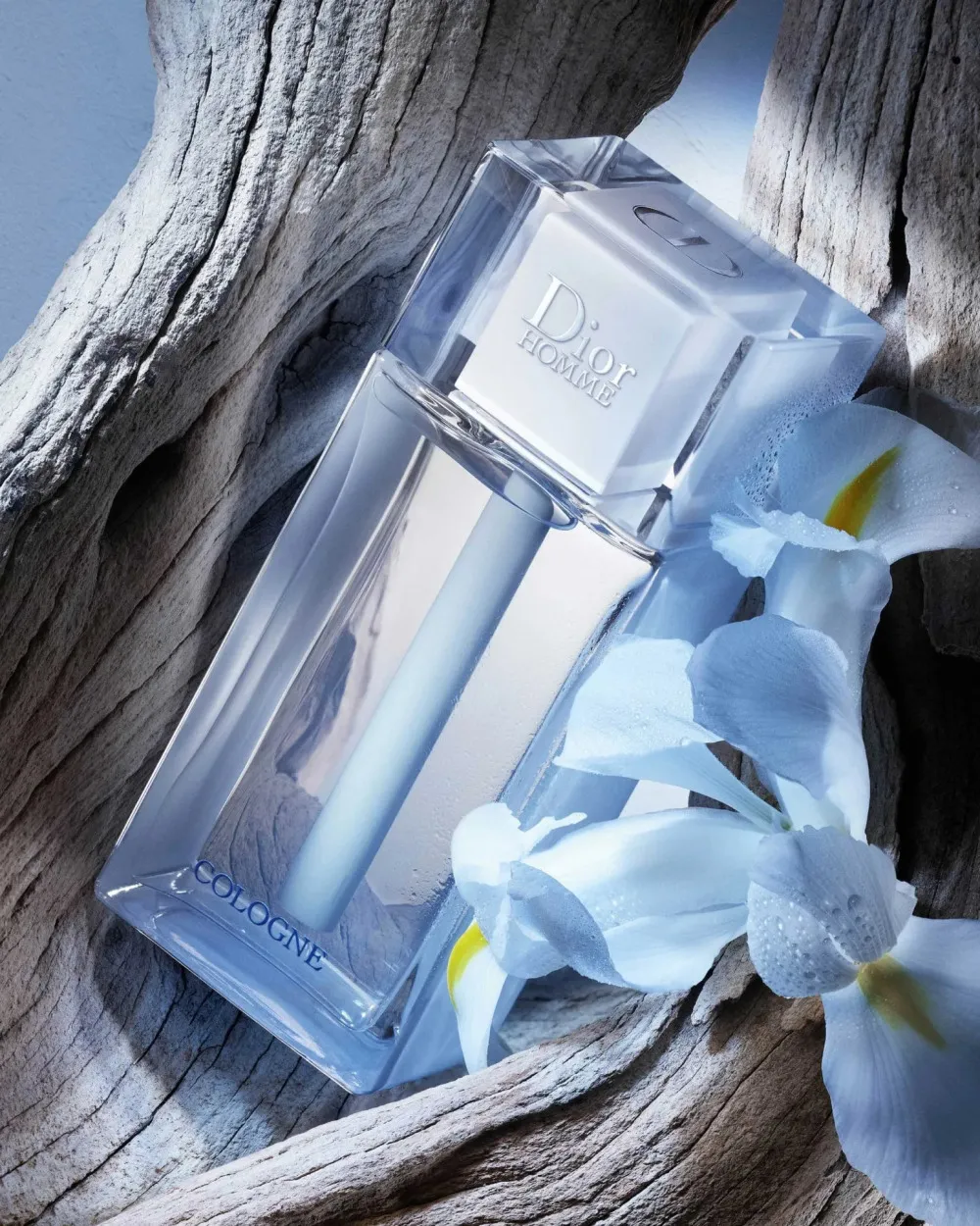 Homme Cologne 2013 agua de colonia para hombres 75 ml