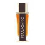 Spicy Leather eau de parfum para hombre 100 ml