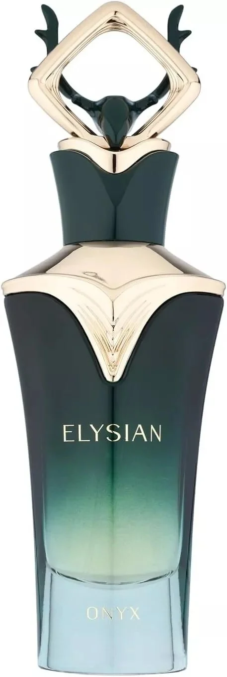 Elysian Onyx M Agua de Perfume 100 ml