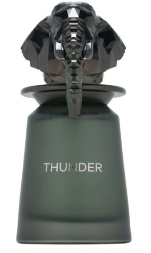 Thunder U Eau de Parfum