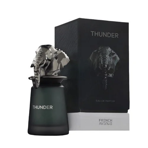 Thunder U Eau de Parfum 100 ml