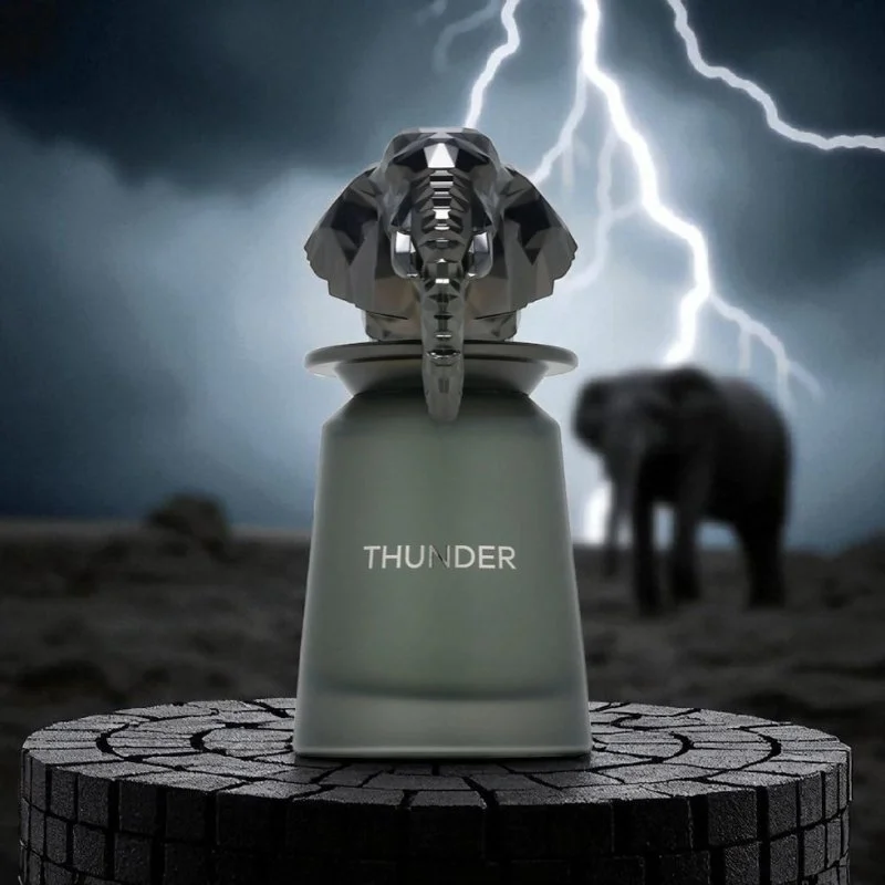 Thunder U Eau de Parfum 100 ml