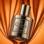 Gisada Titanium agua de perfume unisex 50 ml