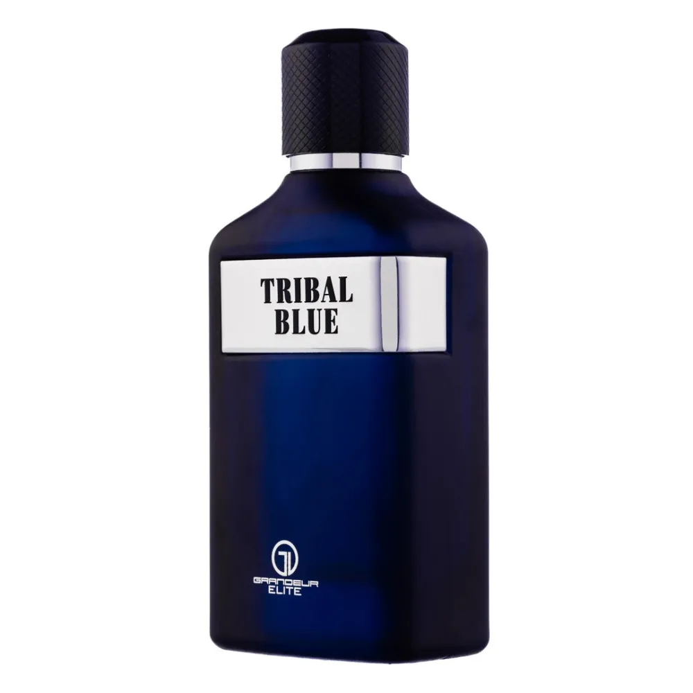 Agua de perfume Grandeur Tribal Blue para hombres 100 ml