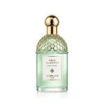 Aqua Allegoria Rosa Verde Eau de Toilette unisex 125 ml
