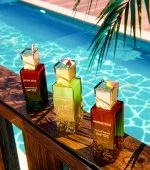 Mangotini U agua de perfume 100 ml