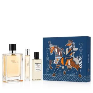 Hermes Terre D'Hermès Eau de Toilette para hombre 100 ml + EDT 15 ml + After Shave