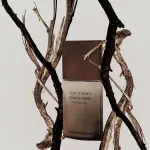 L'Eau d'Issey Pour Homme Wood&Wood agua de perfume para hombres 100 ml