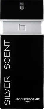Silver Scent agua de tocador para hombre 100 ml