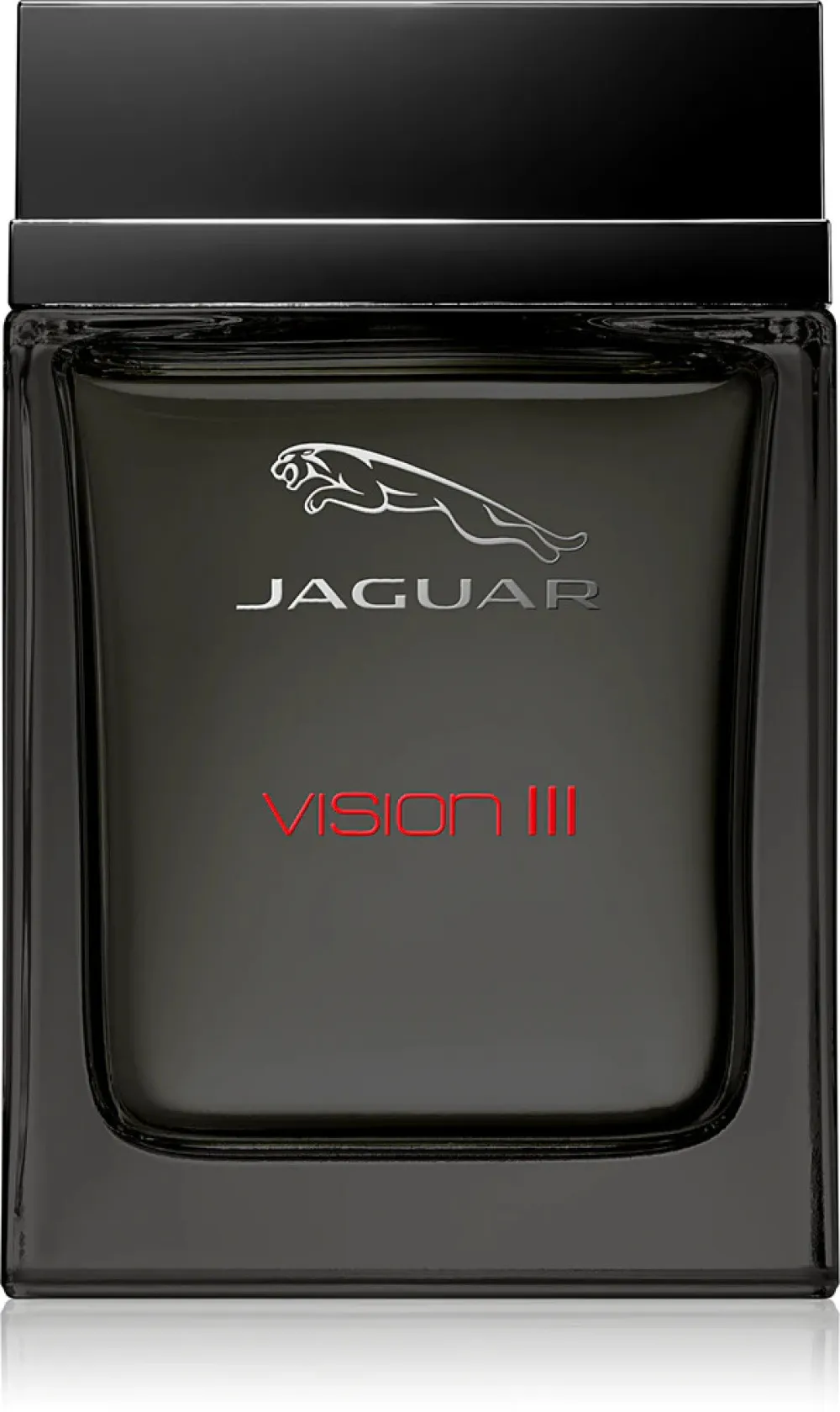 Vision III agua de tocador para hombre 100 ml
