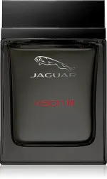 Vision III agua de tocador para hombre 100 ml