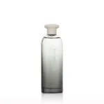 Power Eau de Toilette para hombre 75 ml