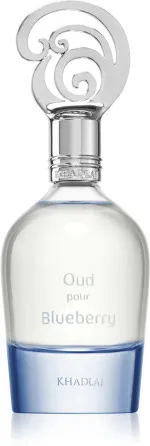 Oud Pour Blueberry agua de perfume unisex 100 ml