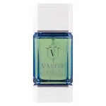 Valor Chivalry agua de perfume unisex 100 ml