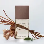 L'Eau d'Issey Pour Homme Vétiver Intense eau de toilette para hombre 100 ml
