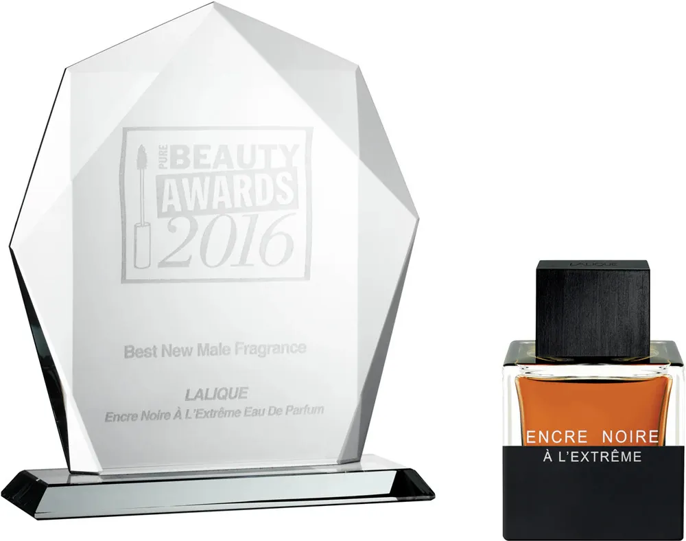Encre Noire A L'Extreme agua de perfume para hombres 100 ml