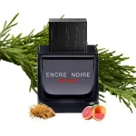 Encre Noire Sport agua de tocador para hombre 100 ml