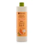 laSaponaria Gel de ducha y champú 2 en 1 con naranja BIO y vitamina C para toda la familia 500 ml - con una fragancia dulce y estimulante