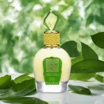 Tameen Collection Musk Wild Vanille agua de perfume para mujer 100 ml