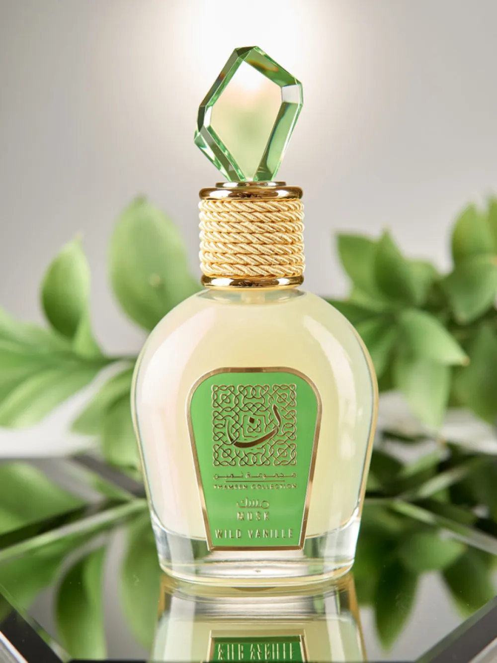 Tameen Collection Musk Wild Vanille agua de perfume para mujer 100 ml