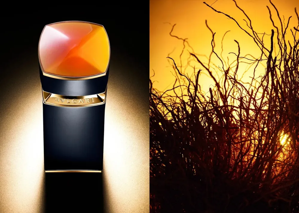 Le Gemme Ambero eau de parfum para hombre 100 ml
